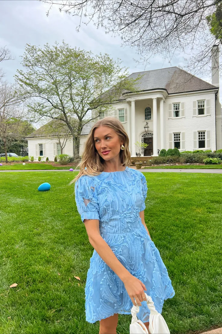 Bluebird Day Dress