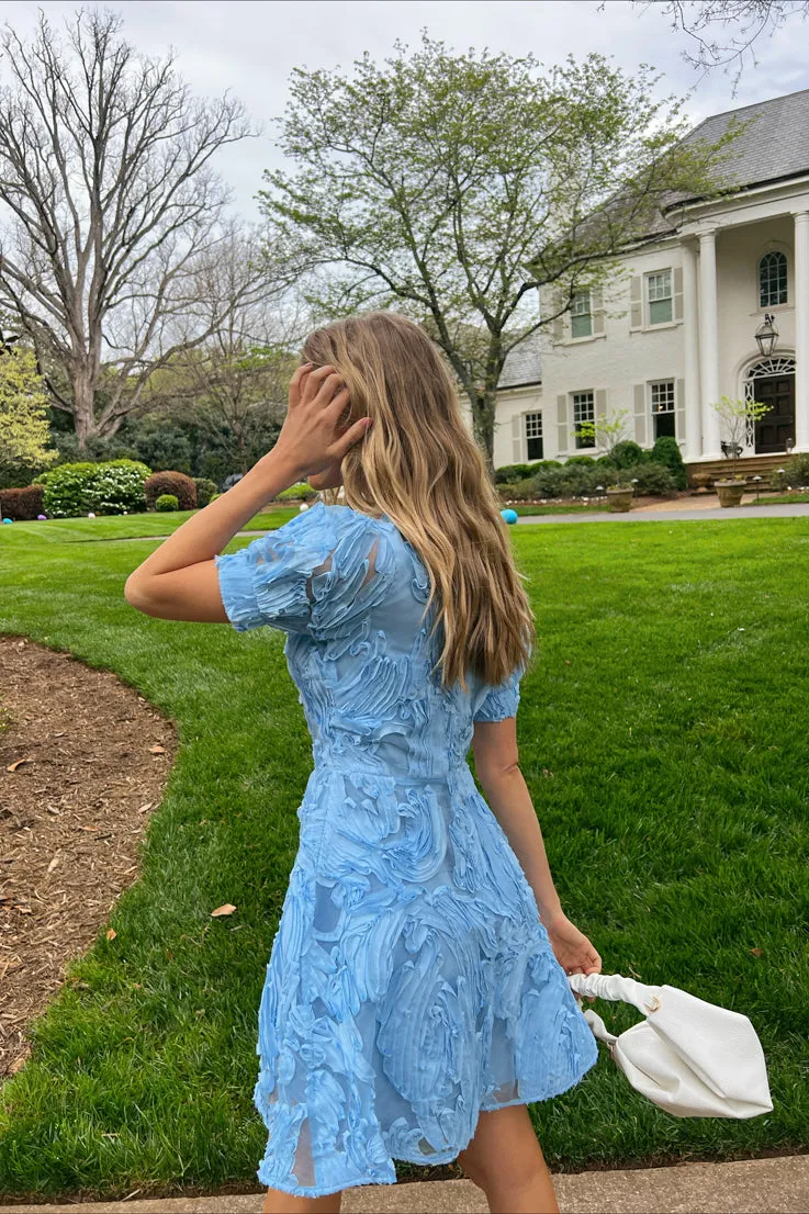 Bluebird Day Dress
